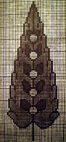 poplar